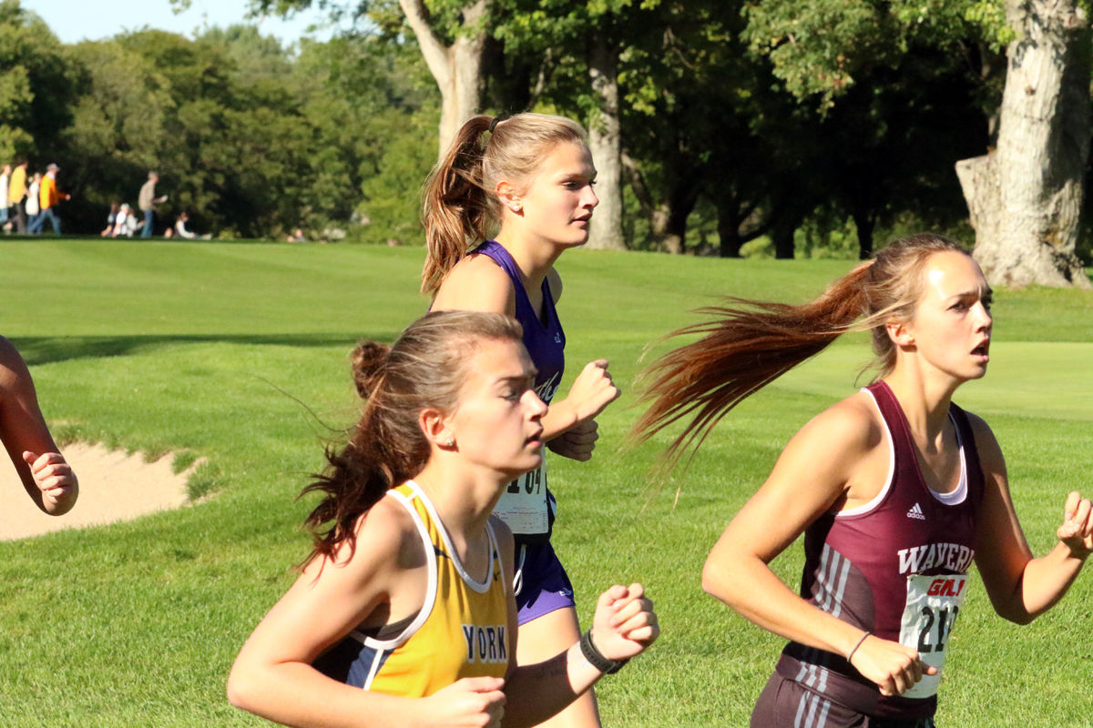 York Cross Country Invite (7).jpg
